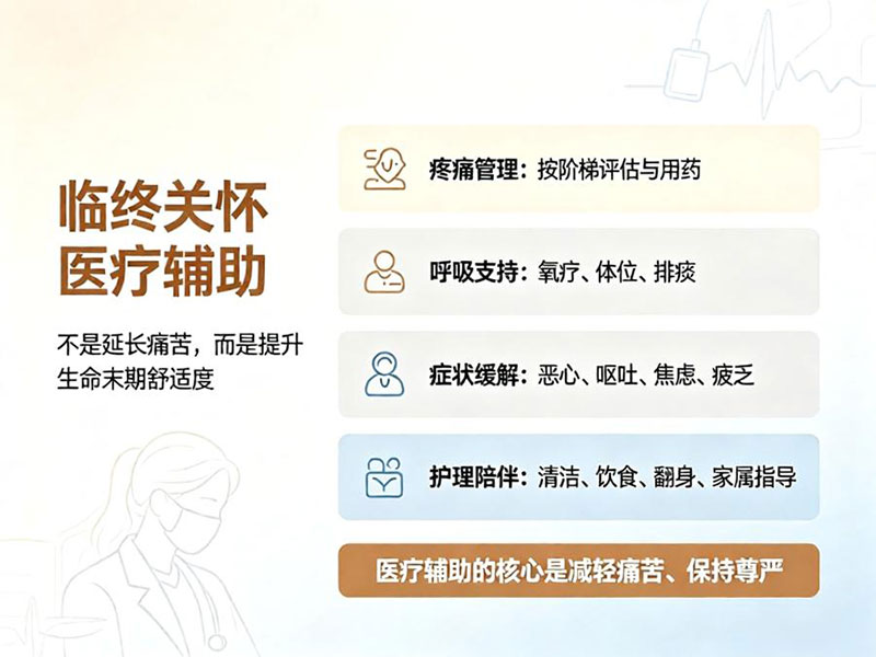 临终关怀医疗辅助