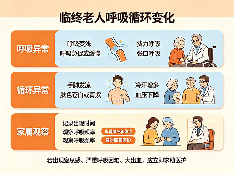 临终老人呼吸循环变化