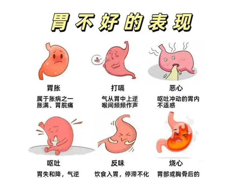 胃不好哪些能吃哪些不能吃?来看医生的建议