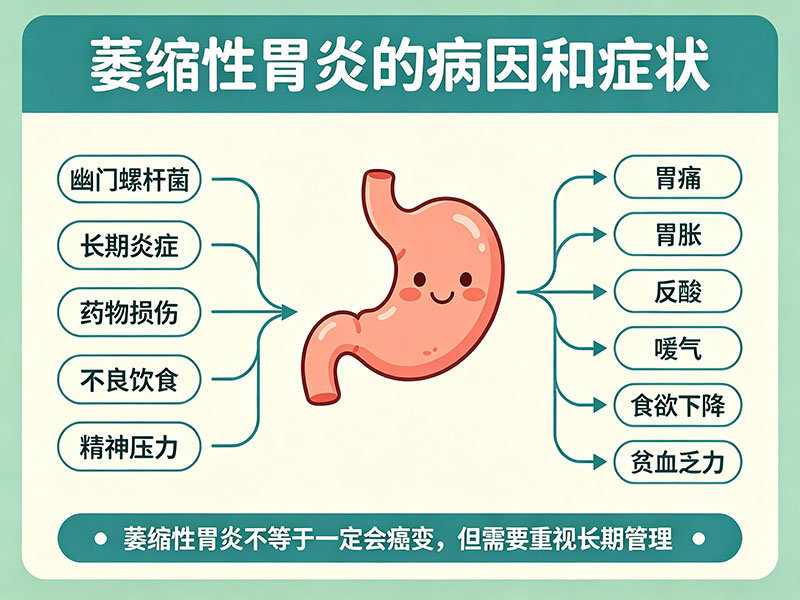 萎缩性胃炎的病因和症状