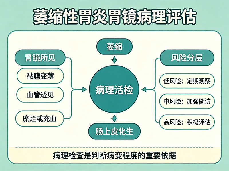 萎缩性胃炎胃镜病理评估