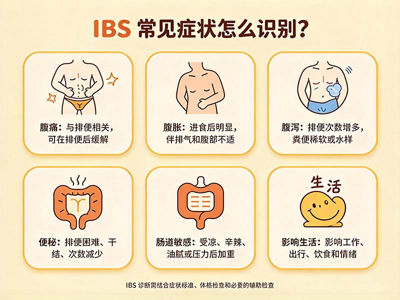 消化科肠易激综合征评估