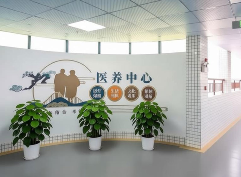 医养结合照护服务